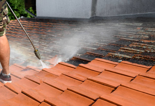 Best Fence Pressure Washing  in Monticello, MN