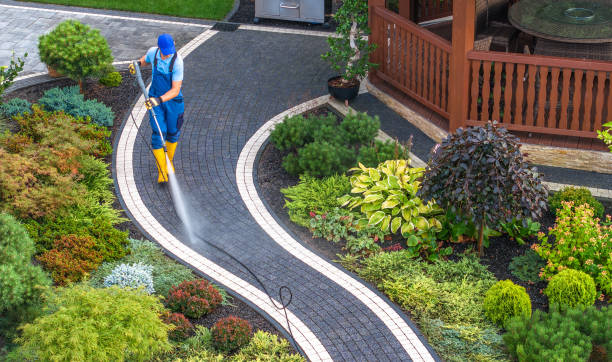 Best Pressure Washing Patio  in Monticello, MN